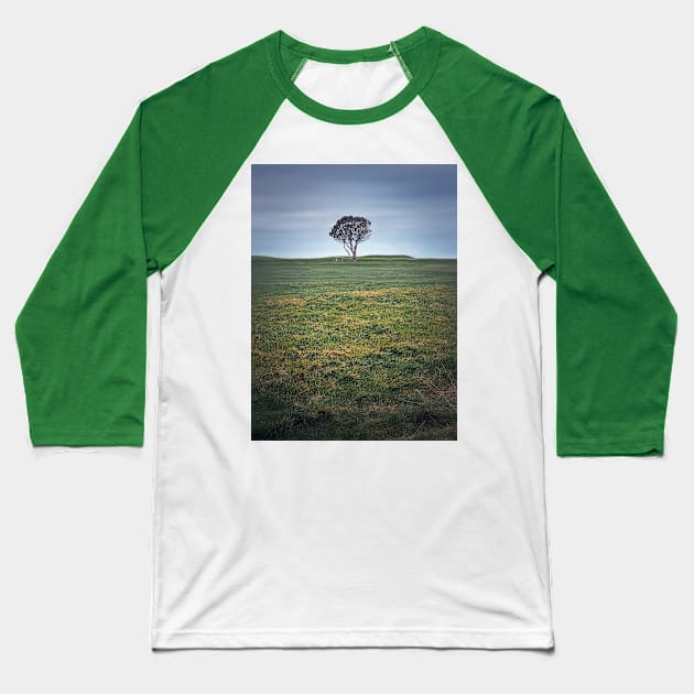 lone tree in the field Baseball T-Shirt by psychoshadow